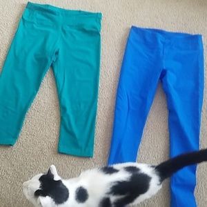 Fabletics Leggings (Cat not included)